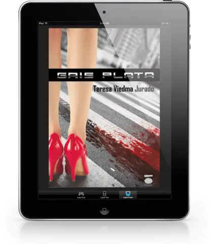 Imagen GRIS PLATA EBOOK